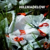 Hill Made Low