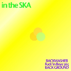 in the SKA