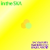 in the SKA