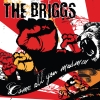 THE BRIGGS